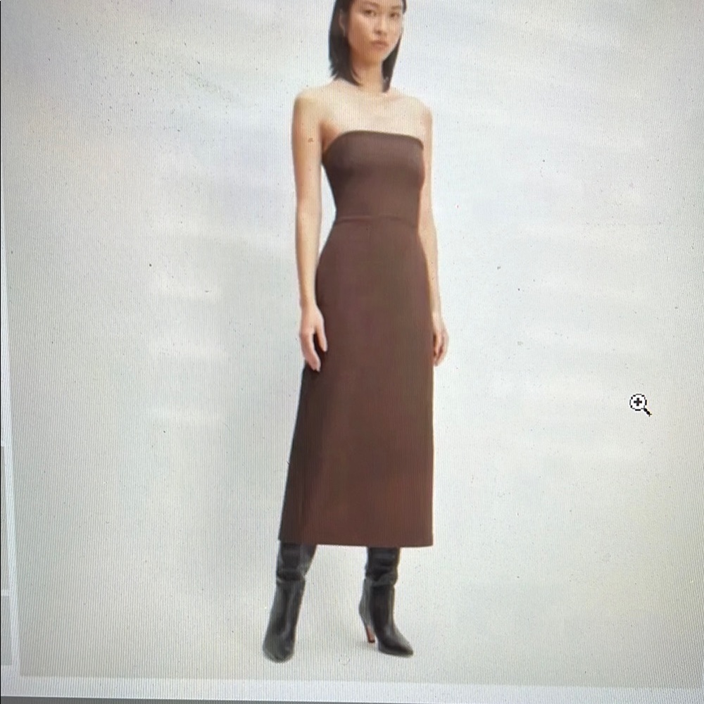 Everlane Brown Strapless Sheath Dress